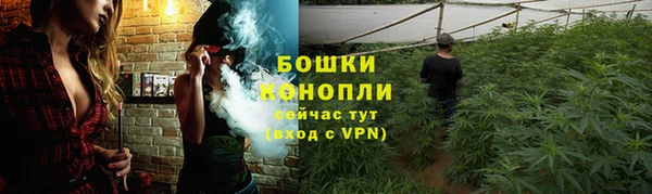 амф Остров